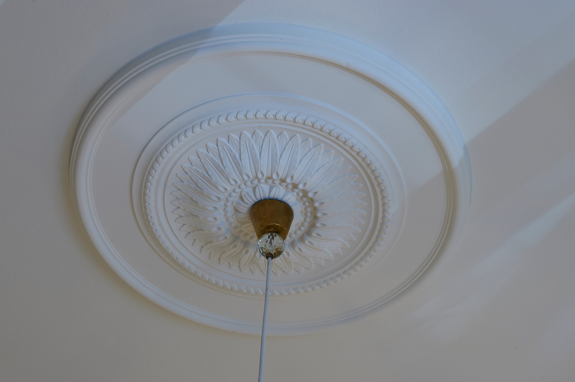 Rosone decorativo con intricati rilievi, che mette in risalto una lampada a sospensione in un raffinato design del soffitto.